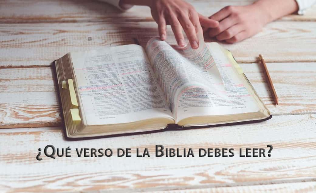 ¿Qué verso de la Biblia debes leer?