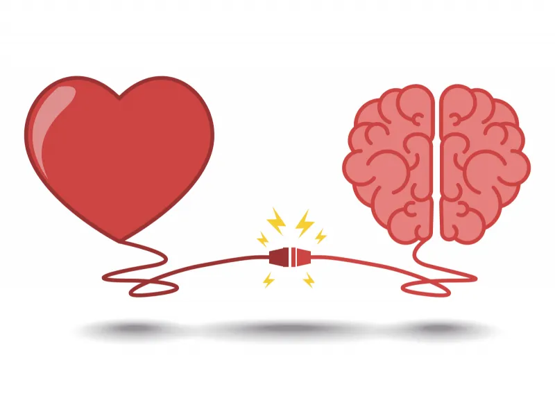¿A cuál voz sueles obedecer más, a la de tu mente o a la de tu corazón?